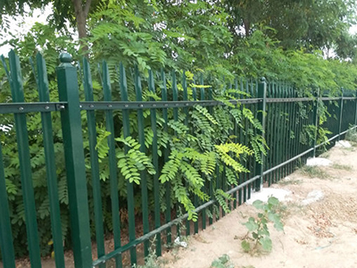 公園鋅鋼護欄圖片4