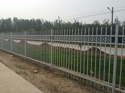 公園鋅鋼護(hù)欄工程案例圖片2