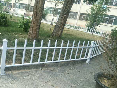 小區(qū)草坪護(hù)欄圖片4
